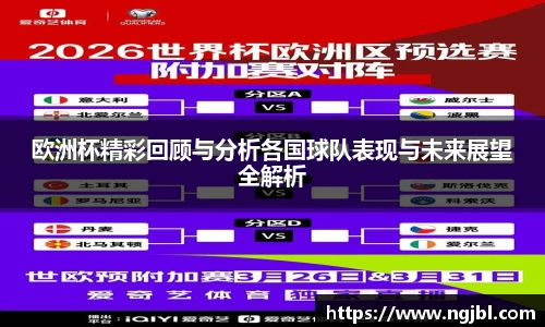 欧洲杯精彩回顾与分析各国球队表现与未来展望全解析
